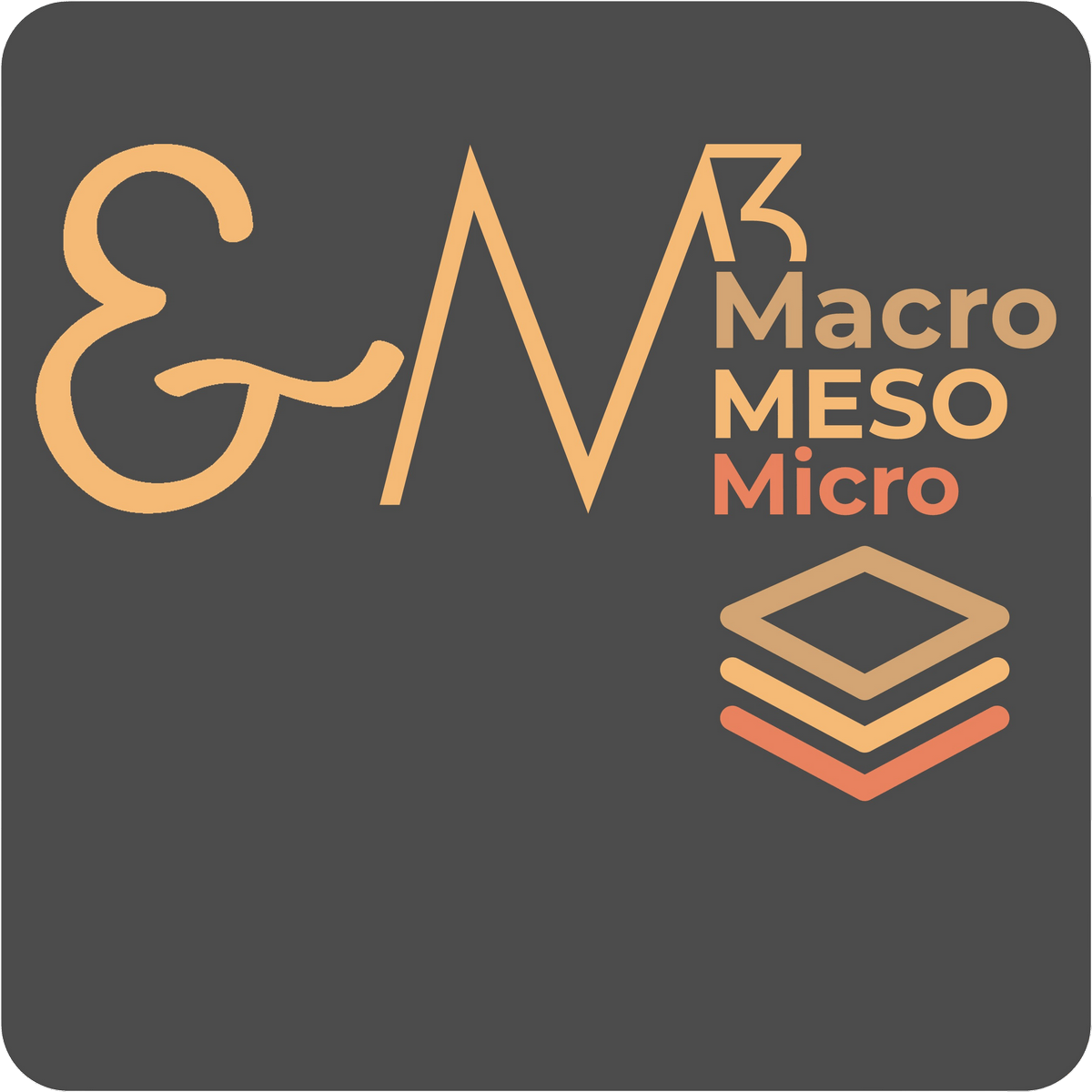 La méthode EM3 3 niveaux pour structurer l'action - Emmanuel Matt Accompagnement