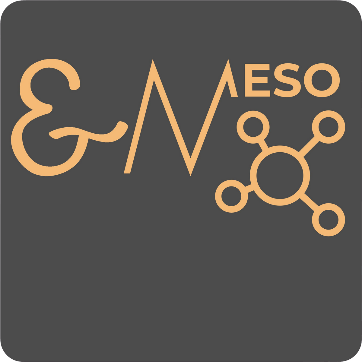 Logo Niveau MESO - Structurer les projets et le quotidien