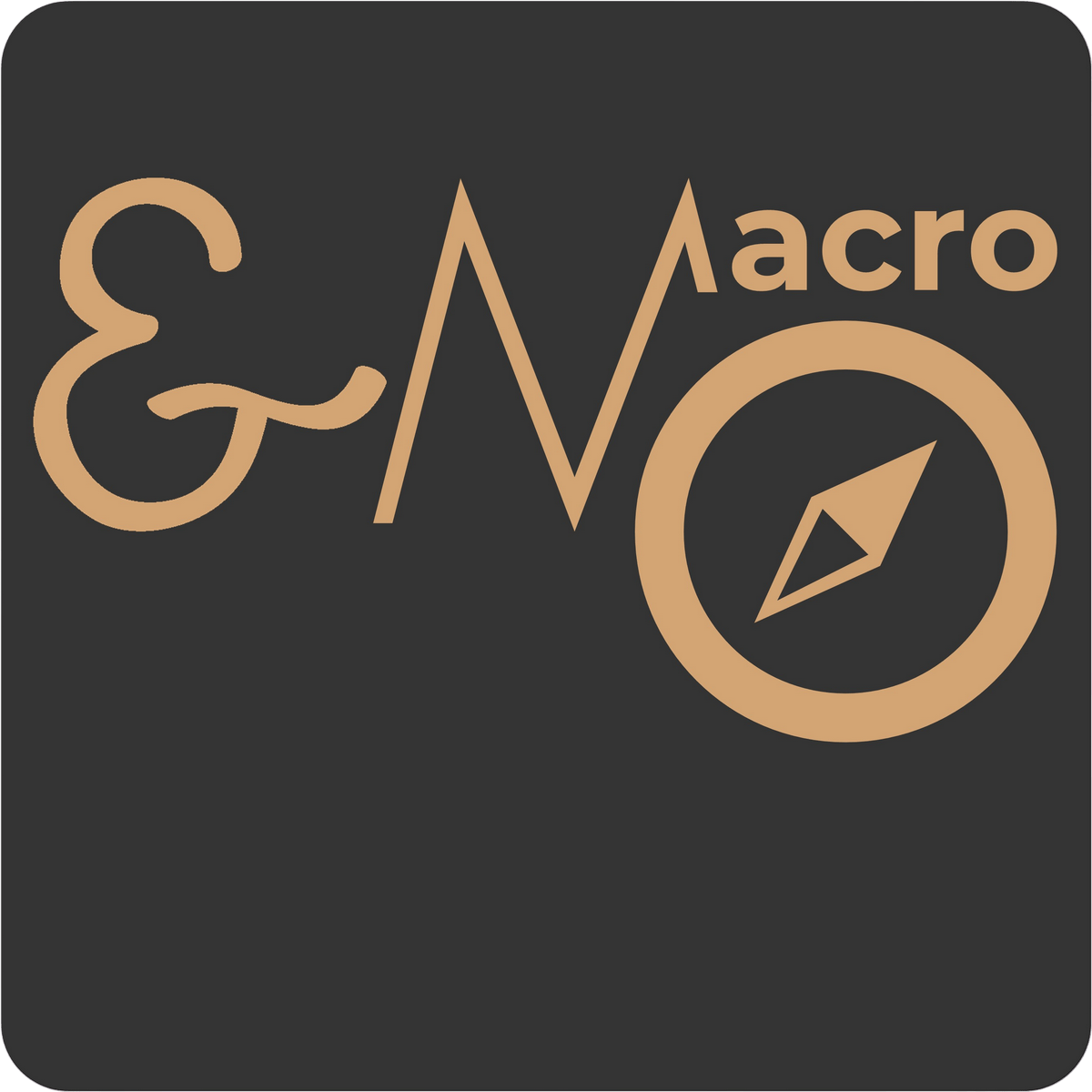 Logo Niveau Macro - Ancrer les transformations dans la durée