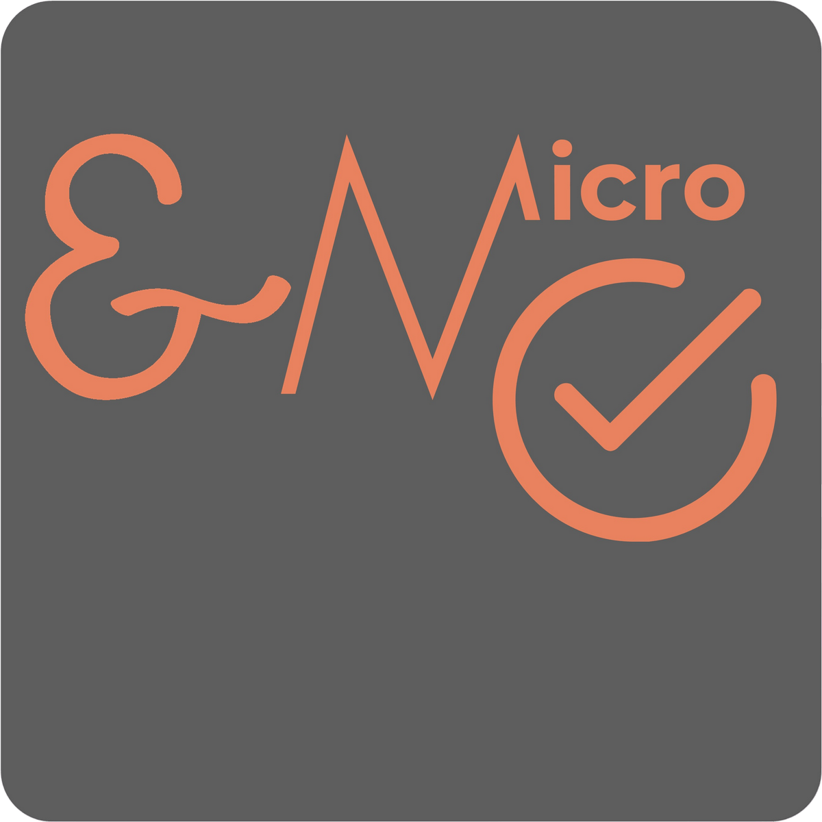 Logo Niveau MICRO - Décider clairement, agir avec justesse